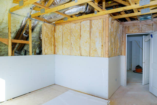 Best Eco-Friendly or Green Insulation Solutions  in Abingdon, IL